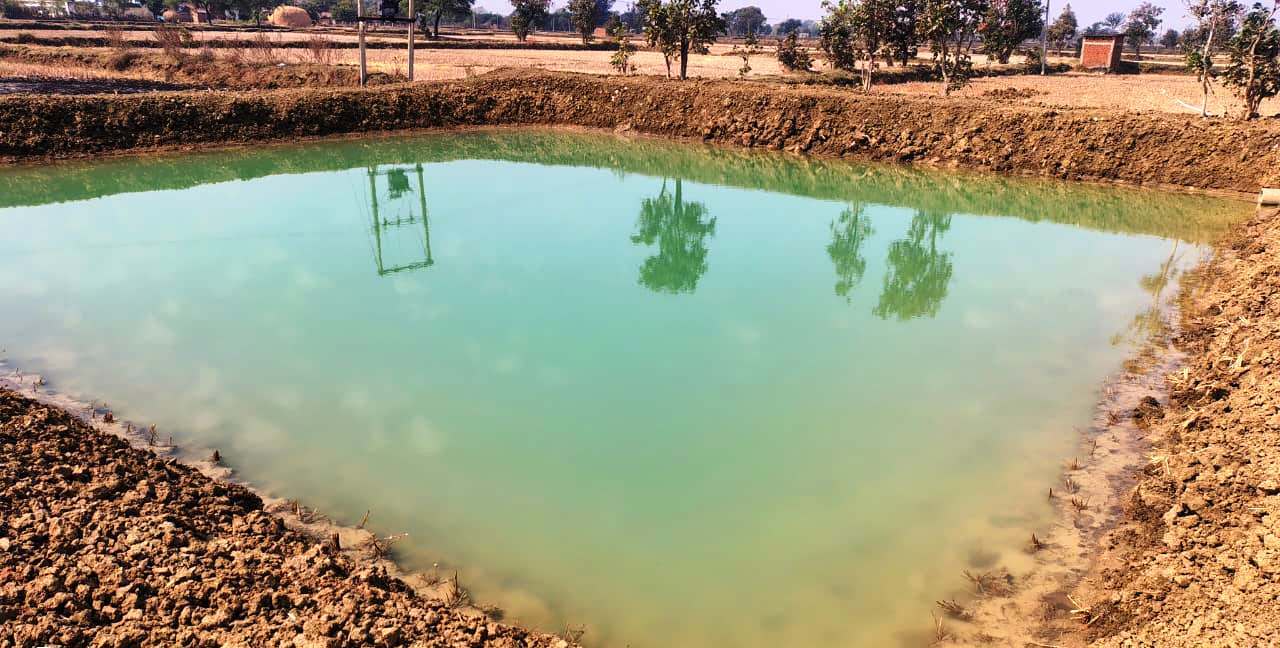 मनरेगा से बदली किसान की किस्मत: आजीविका डबरी बनी आय और सिंचाई का सहारा