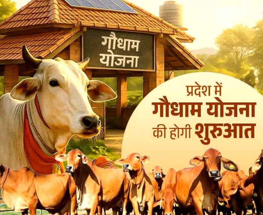 विष्णुदेव साय ने शुरू की गौधाम योजना, घुमंतु पशुओं के संरक्षण पर जोर