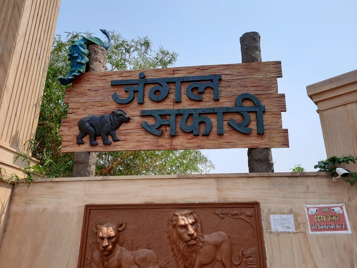 नंदनवन जू और जंगल सफारी घूमना हुआ महंगा, टिकट दरों में बढ़ोतरी
