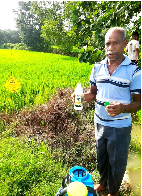 नैनो उर्वरक ने बदली किसान की तकदीर, धान उत्पादन बढ़ा और लागत हुई कम