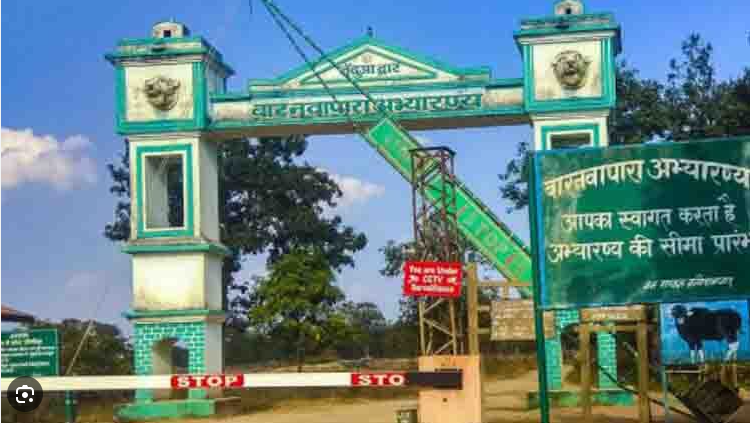 Nawapara Wildlife Sanctuary: नवापारा अभयारण्य में रहस्यमयी मौतों का सिलसिला, दो दिनों में तीन हिरणों की संदिग्ध मौत