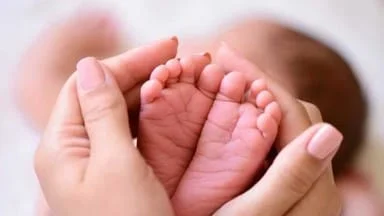 Tamil Nadu Maternity Leave: महिला सरकारी कर्मचारियों को बड़ा तोहफा, तीसरे बच्चे पर भी मिलेगी 365 दिन की पेड छुट्टी