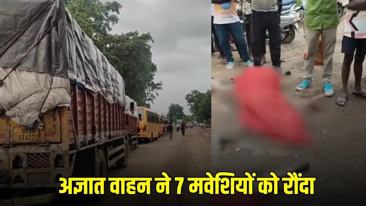 Kawardha News: दर्दनाक सड़क हादसे में 7 मवेशियों की मौत, आक्रोशित ग्रामीणों ने किया चक्काजाम