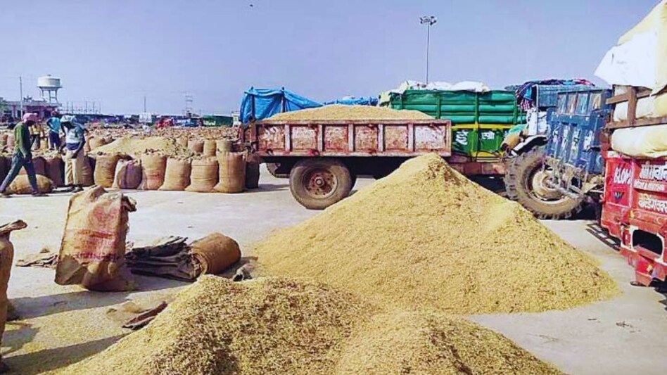 सरकारी गोदामों में चावल का भंडार बढ़ा, केंद्र घटाएगा 102 लाख टन धान की खरीद; छत्तीसगढ़ पर भी पड़ सकता है असर
