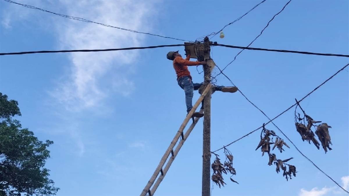 छत्तीसगढ़ में बिजली चोरी पर बड़ा एक्शन! 96 परिसरों में पकड़ी गई गड़बड़ी, FIR और कानूनी कार्रवाई की तैयारी