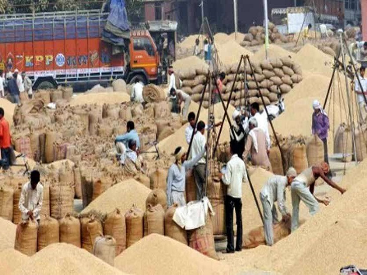 CG Dhan Kharidi 2026-27: धान बेचने के लिए घर बैठे मिलेगा टोकन, जानिए कितने एकड़ जमीन पर कितने टोकन मिलेंगे