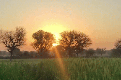 CG Weather Today: छत्तीसगढ़ में बदलने लगा मौसम, रात के तापमान में गिरावट शुरू; अगले 5 दिन कैसा रहेगा हाल?